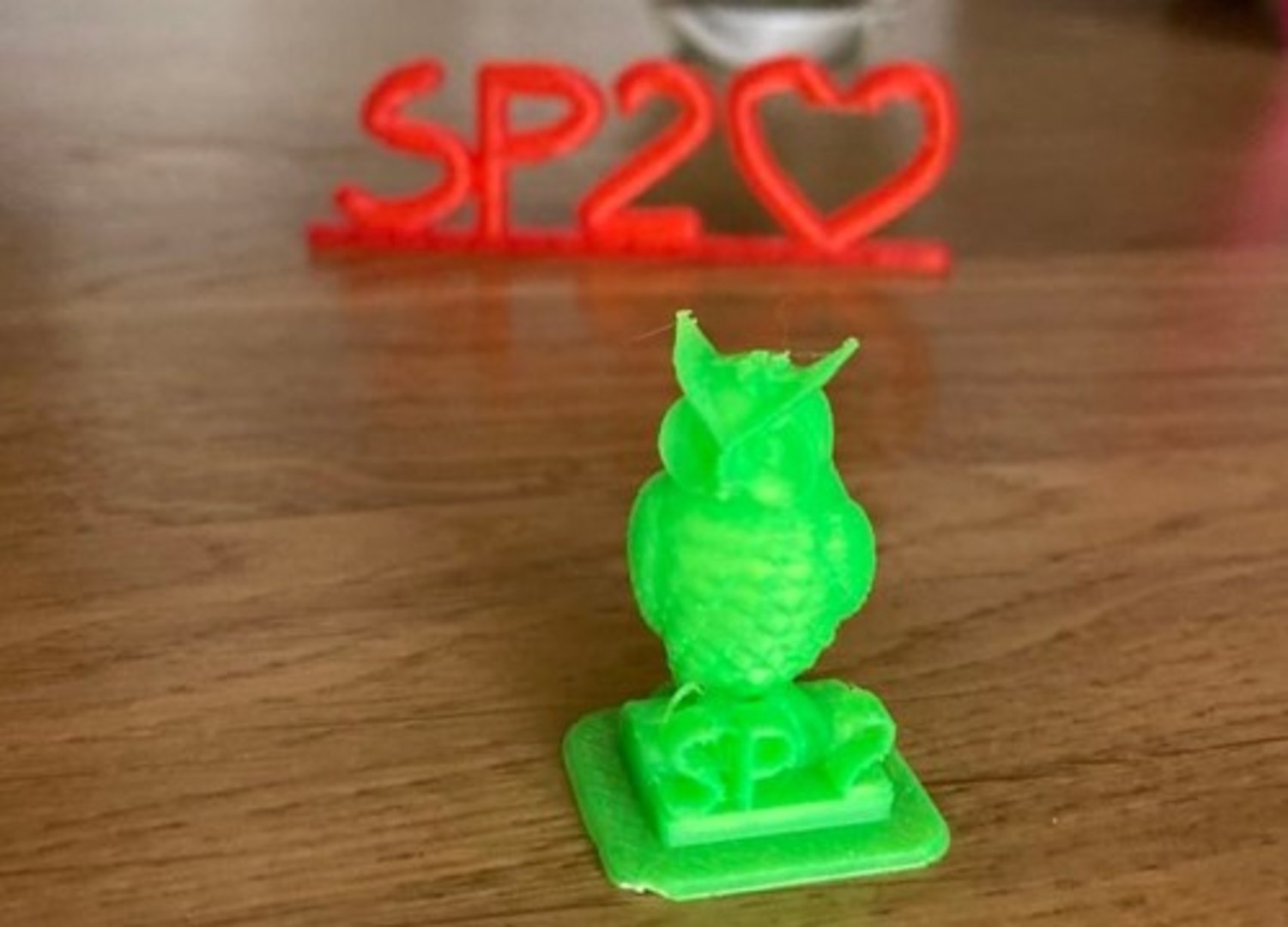 SP 2 - sówka z drukarki 3D.jpg