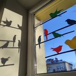 15 - Ptaki na oknie.jpg