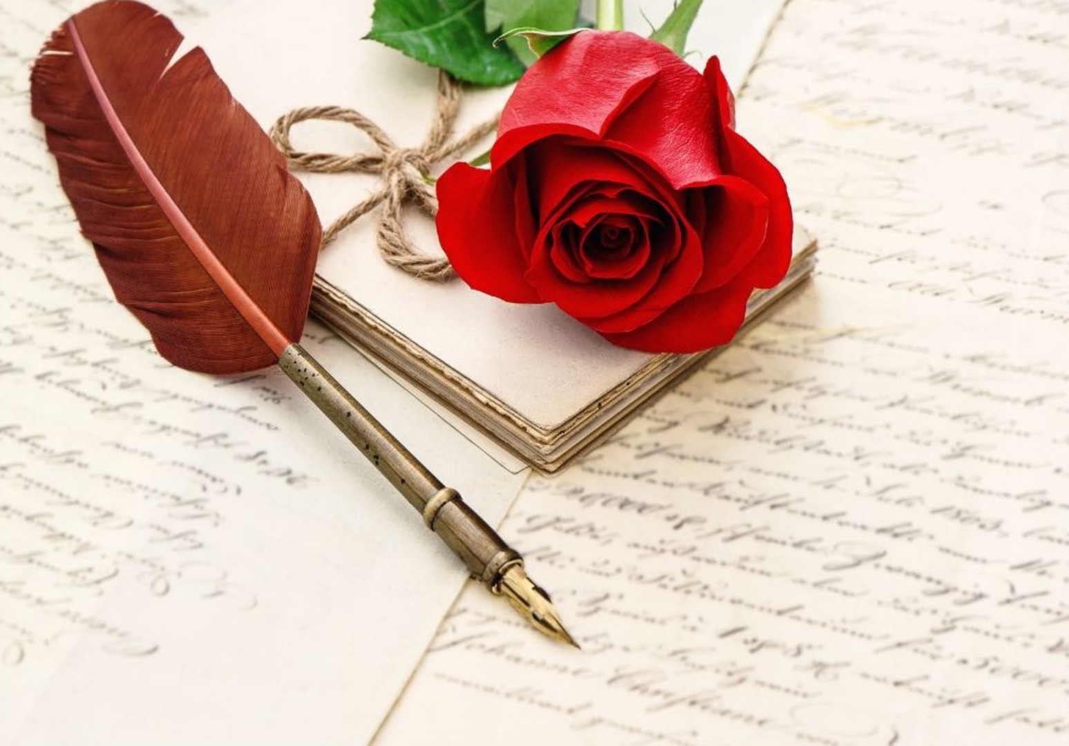 Pióro i róża na papierze.jpg